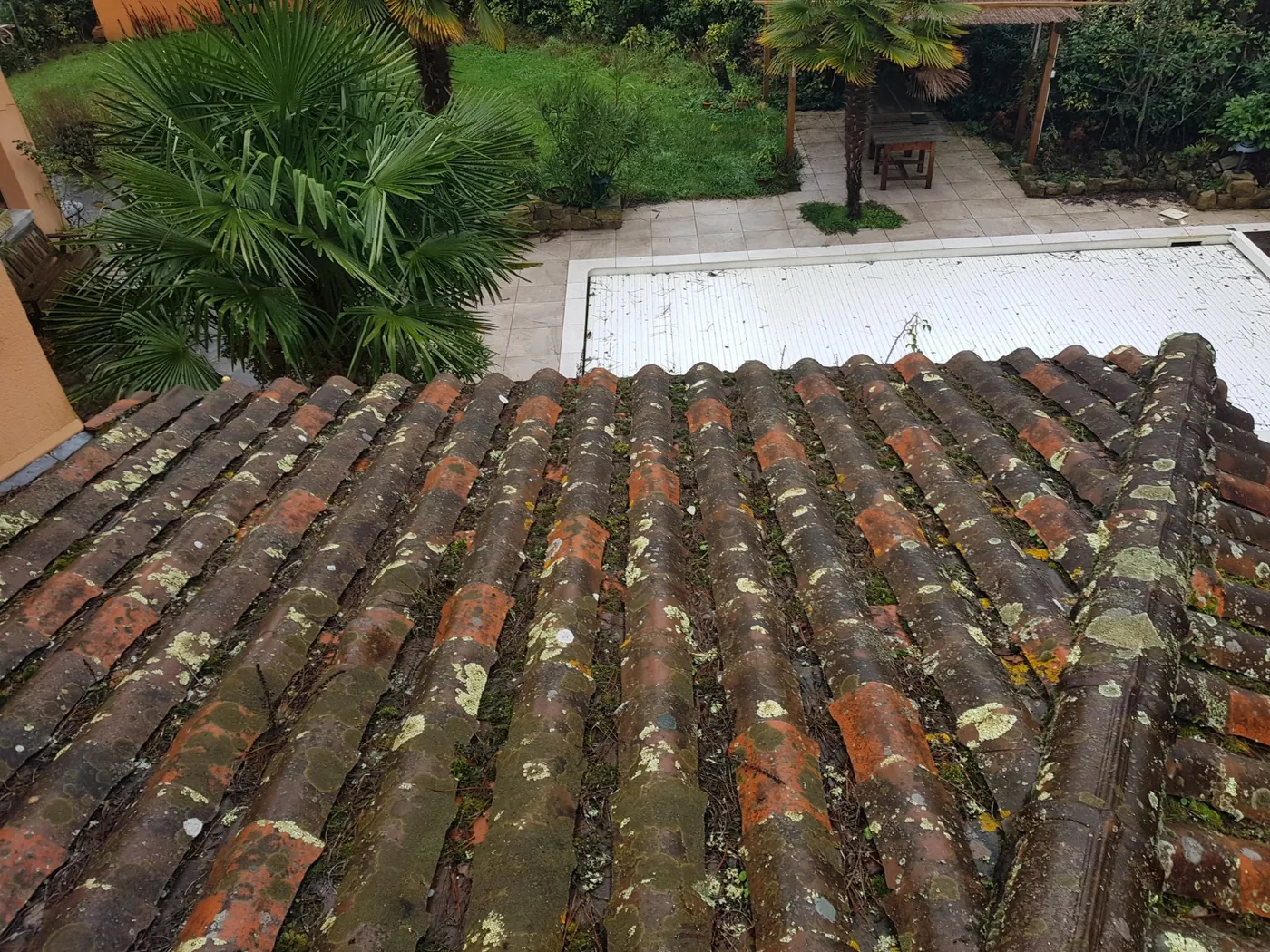 Toiture en tuiles canal fortement envahie de mousses et lichens avant nettoyage à La Baule