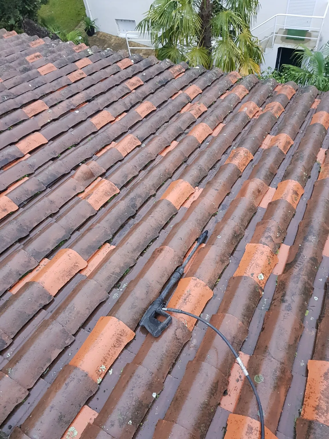 Vue de la toiture dégradée par les mousses avant intervention à La Baule